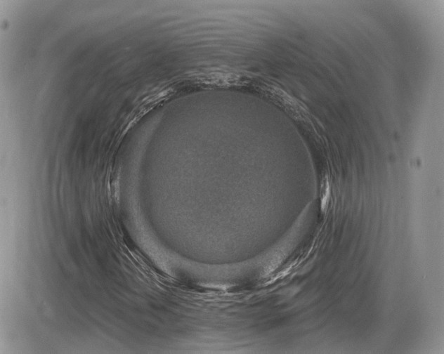 X0000082761202200701261438