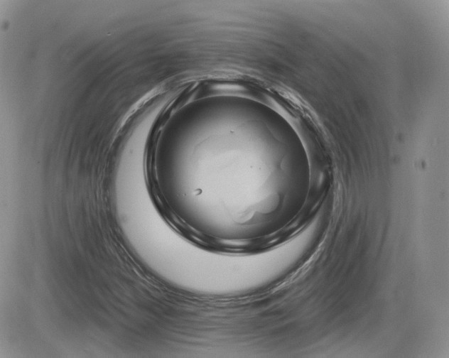 X0000082761210200701261439