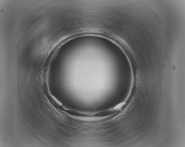 X0000082761212200701261439