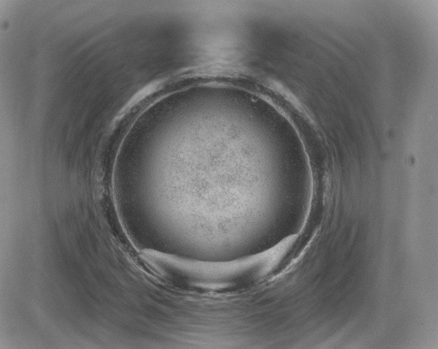 X0000082761213200701261439