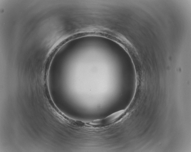 X0000082761216200701261439