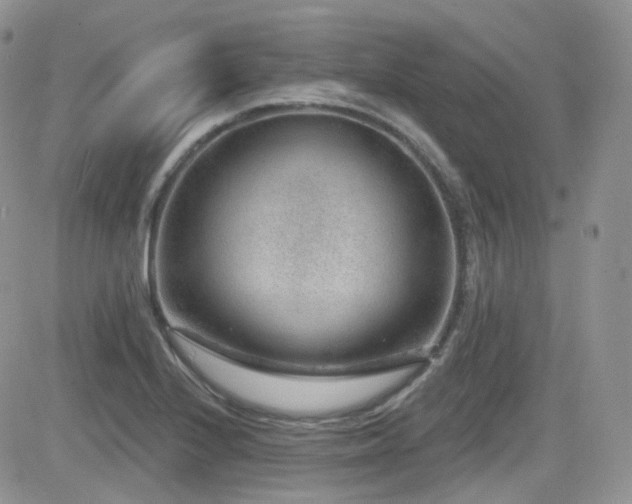 X0000082761224200701261439