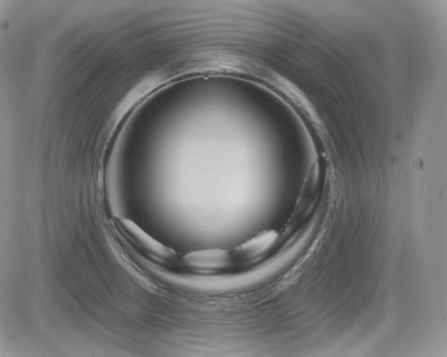 X0000082761234200701261439
