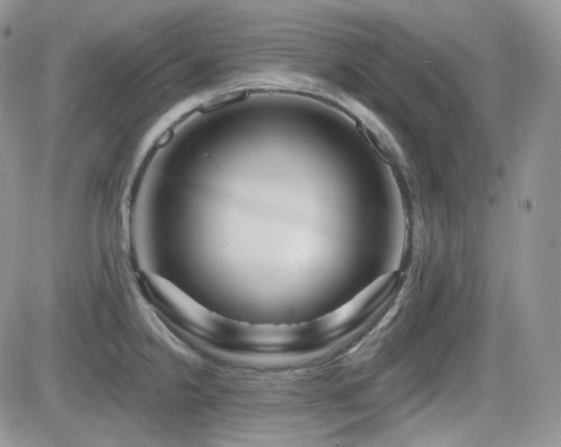 X0000082761238200701261439