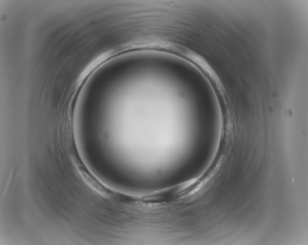 X0000082761242200701261439