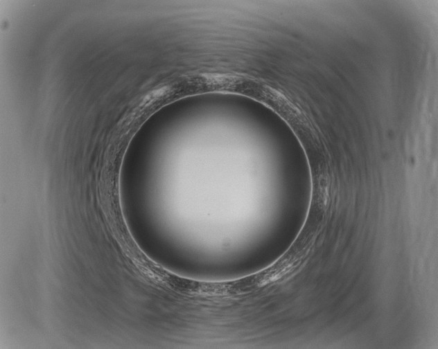 X0000082761249200701261438