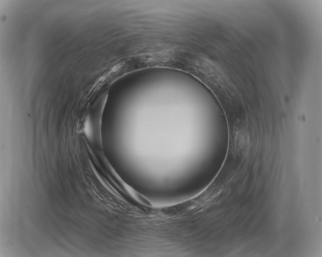 X0000082761250200701261438