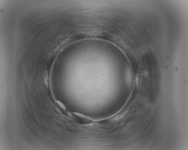 X0000082761251200701261438