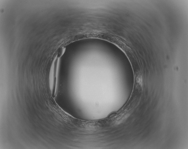 X0000082761252200701261438