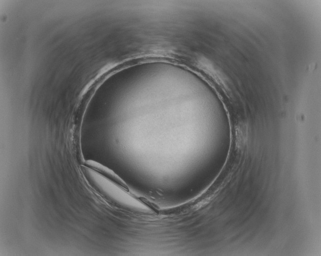 X0000082761260200701261438