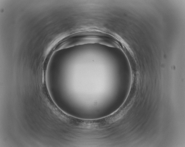 X0000082761269200701261438