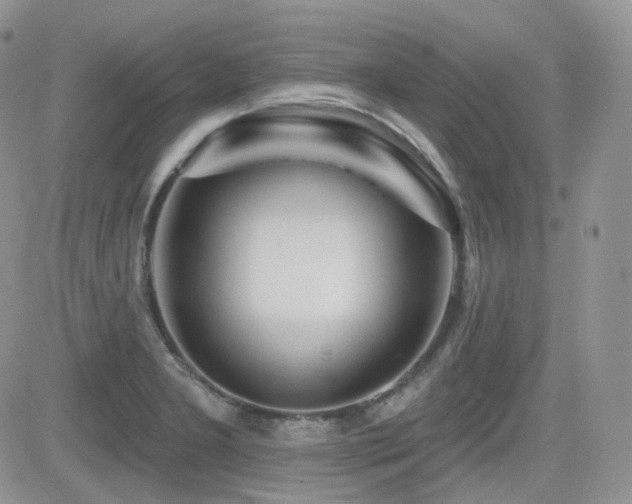 X0000082761277200701261438