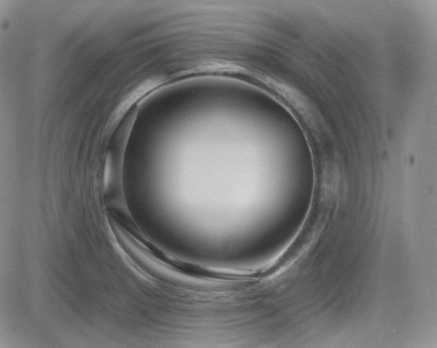 X0000082761281200701261438