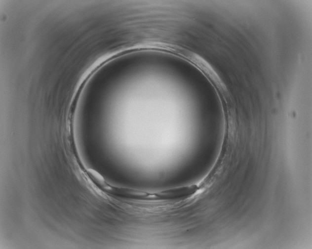 X0000082761292200701261438