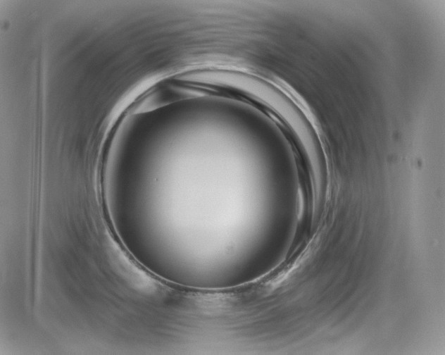 X0000082761293200701261438