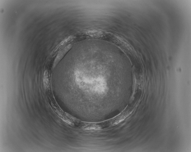 X0000082761298200701261437