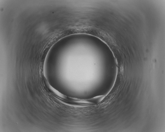 X0000082761300200701261437