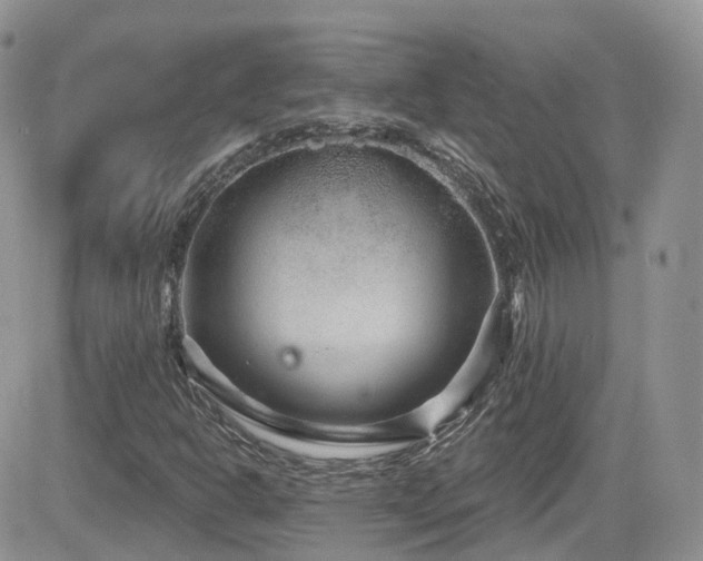 X0000082761302200701261437