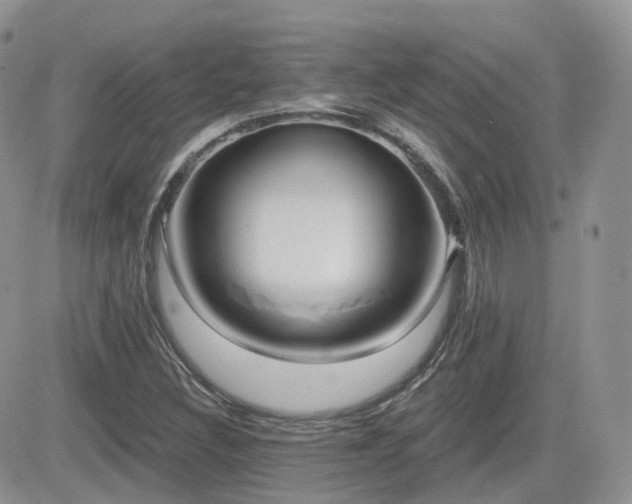 X0000082761308200701261437