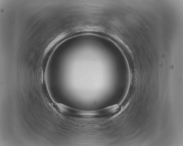 X0000082761317200701261437