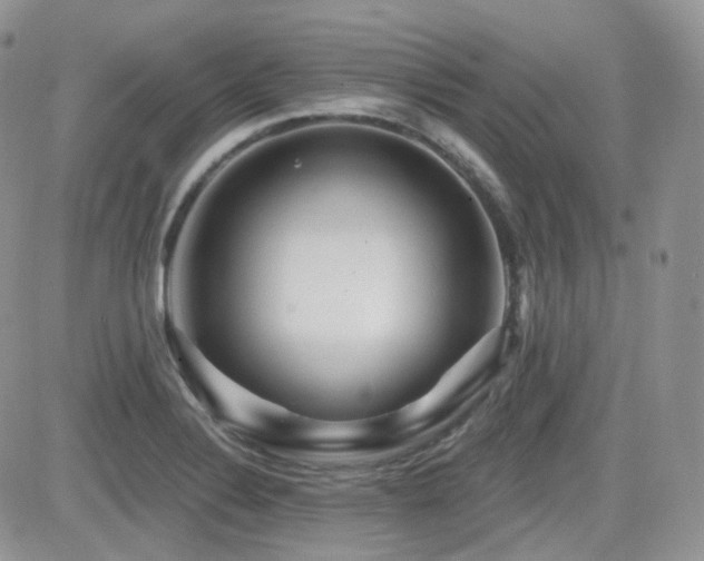 X0000082761324200701261437