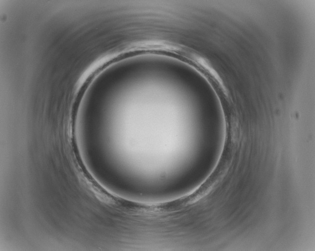 X0000082761328200701261437