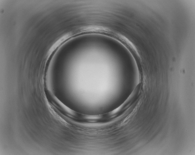 X0000082761330200701261437