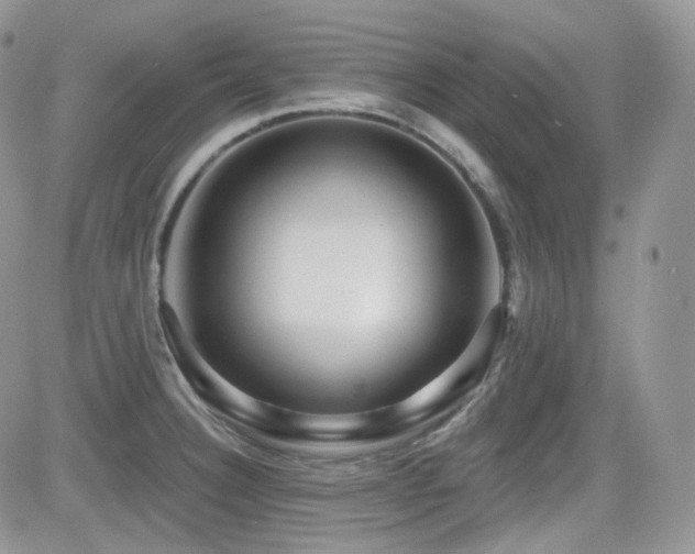 X0000082761332200701261437
