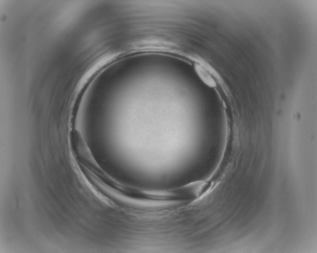 X0000082761333200701261437