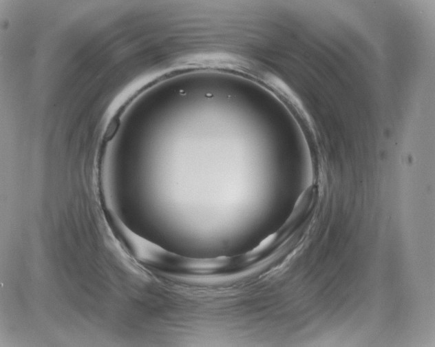 X0000082761336200701261437