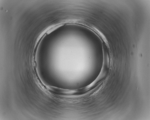 X0000082761340200701261438