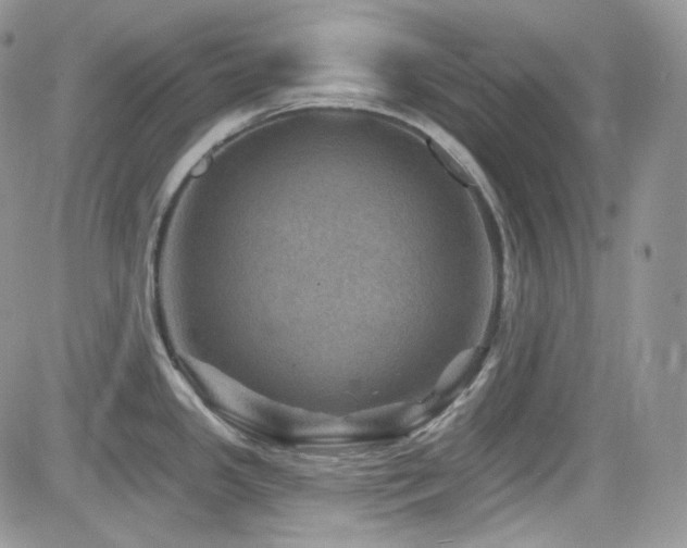 X0000082761341200701261438