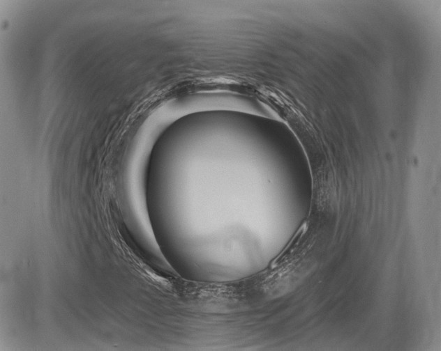 X0000082761345200701261437