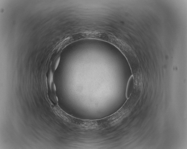 X0000082761346200701261437