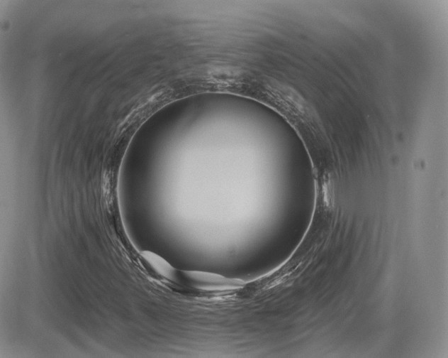 X0000082761347200701261437