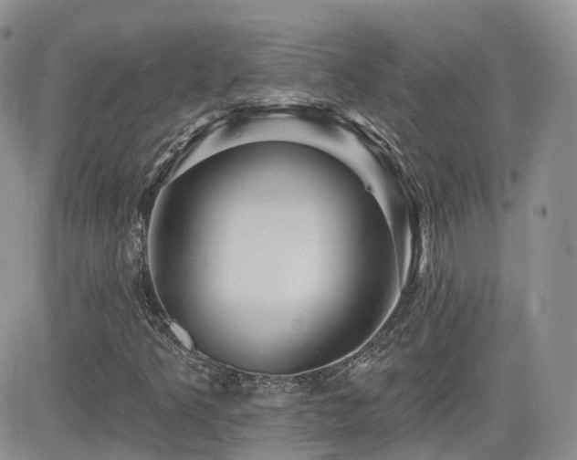 X0000082761349200701261437