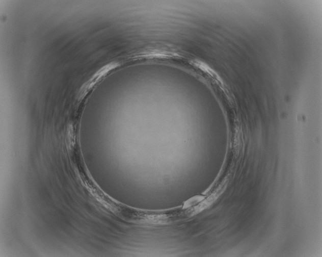 X0000082761353200701261437