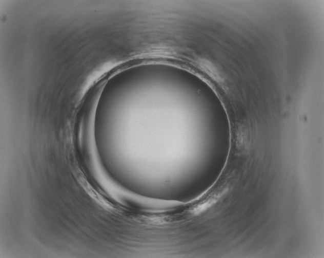 X0000082761356200701261437