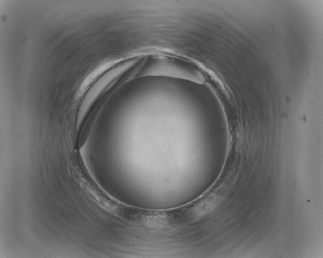 X0000082761363200701261437