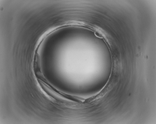 X0000082761379200701261436