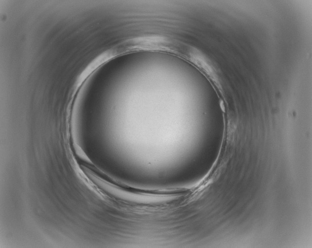X0000082761386200701261436