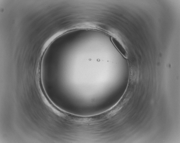 X0000082761387200701261436