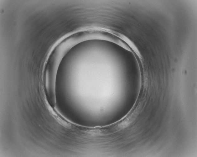 X0000082761388200701261436
