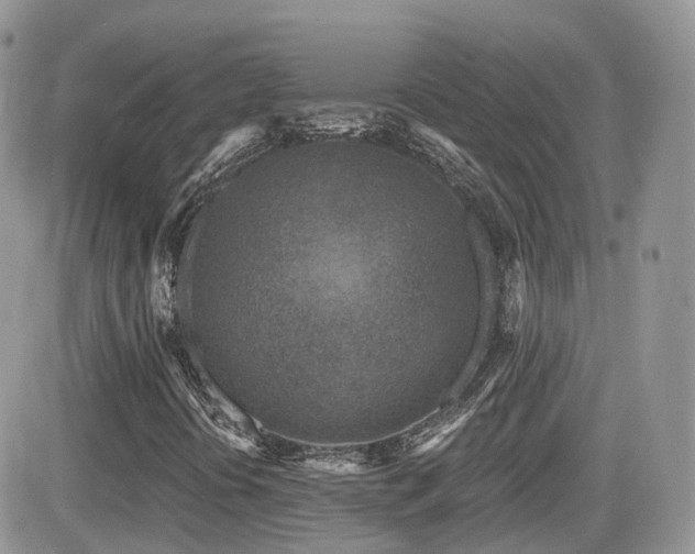 X0000082761394200701261435