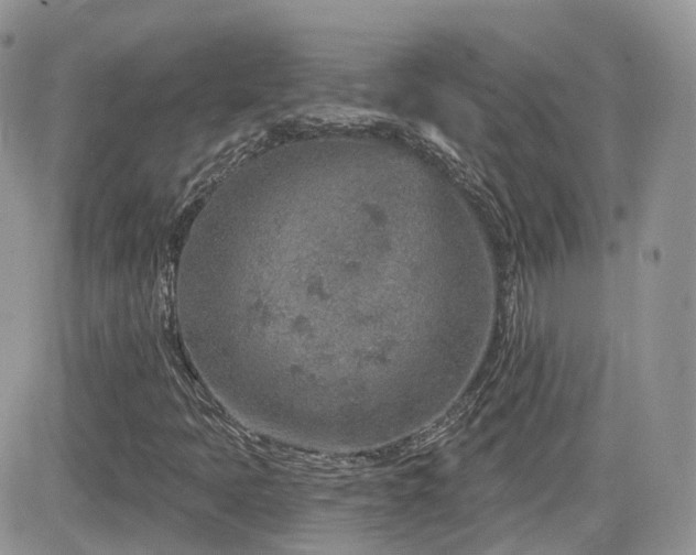 X0000082761397200701261435