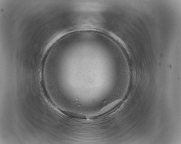 X0000082761415200701261436