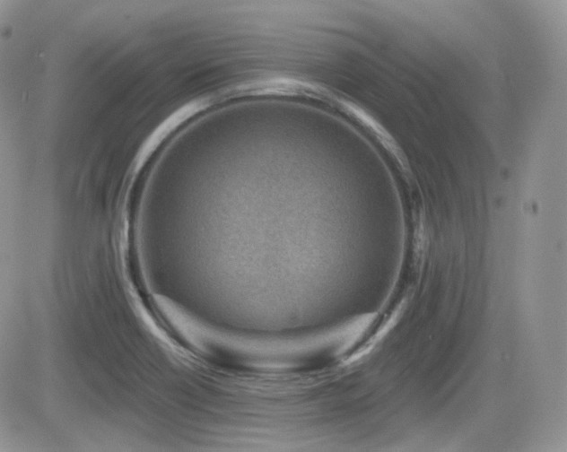 X0000082761418200701261436