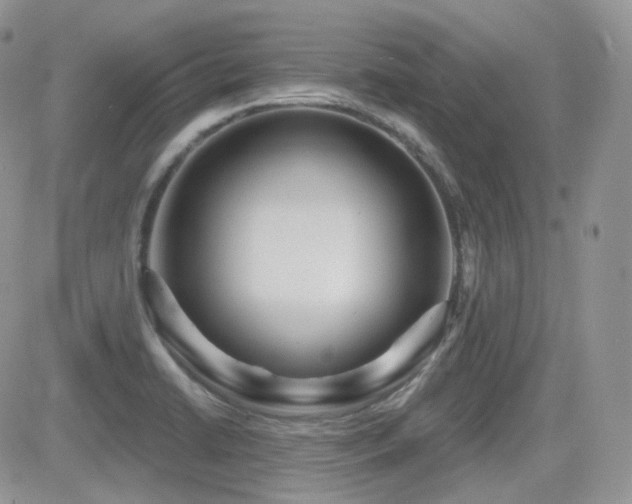X0000082761422200701261436