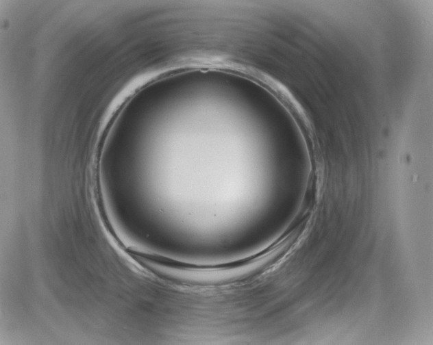 X0000082761432200701261436