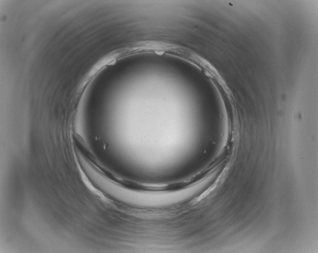 X0000082761433200701261436